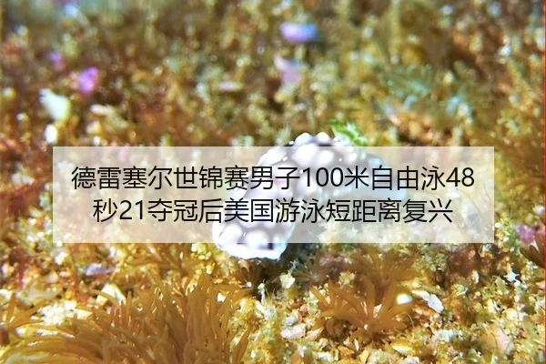 de-lei-sai-er-shi-jin-sai-nan-zi-mi-zi-you-yong-miao-duo-guan-hou-mei-guo-you-yong-duan-ju-li-fu-xing-3-540.jpg