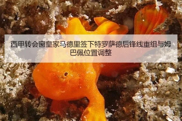 xi-jia-zhuan-hui-chuang-huang-jia-ma-de-li-qian-xia-te-luo-sa-de-hou-feng-xian-chong-zu-yu-mu-ba-pei-wei-zhi-tiao-zheng-3-224.jpg